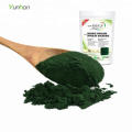 Bulk 100% pure natural Organic spirulina powder